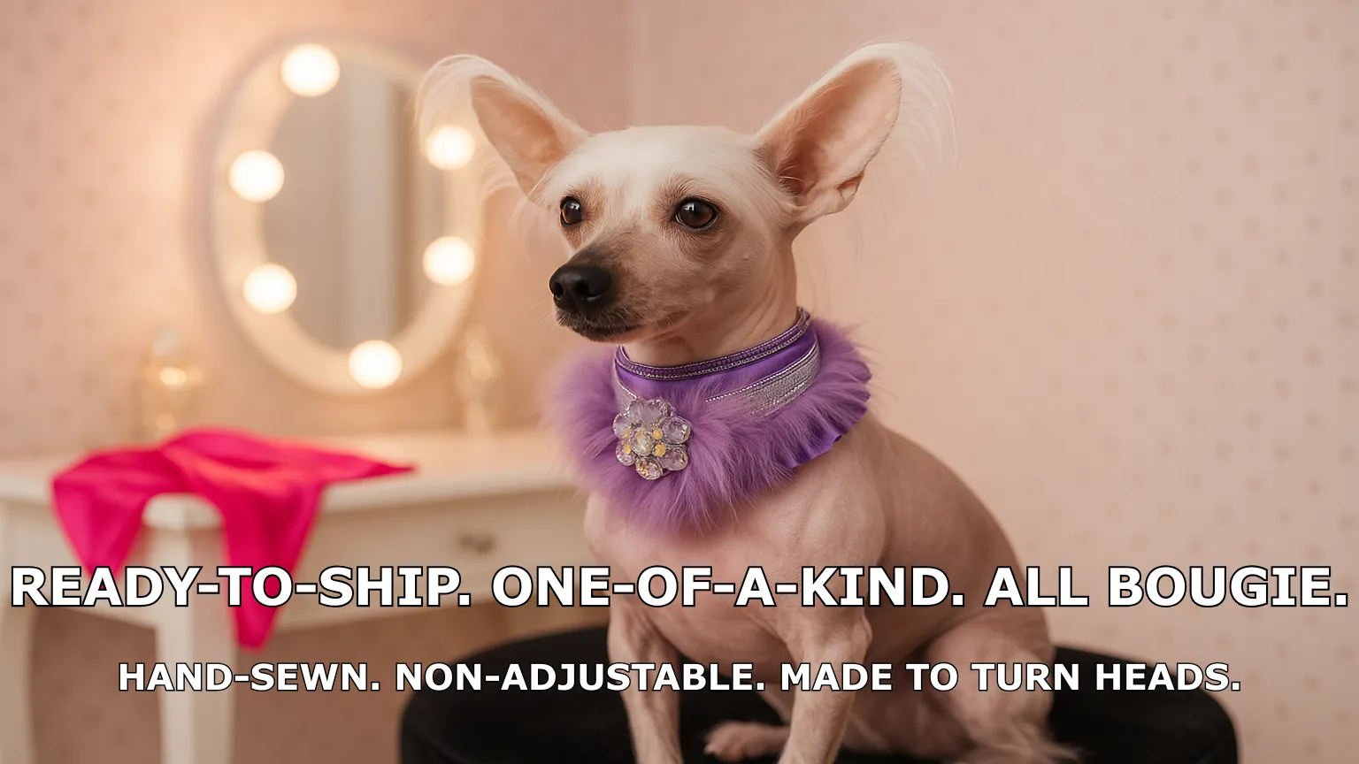 Dog wearing handmade purple collar in dressing room