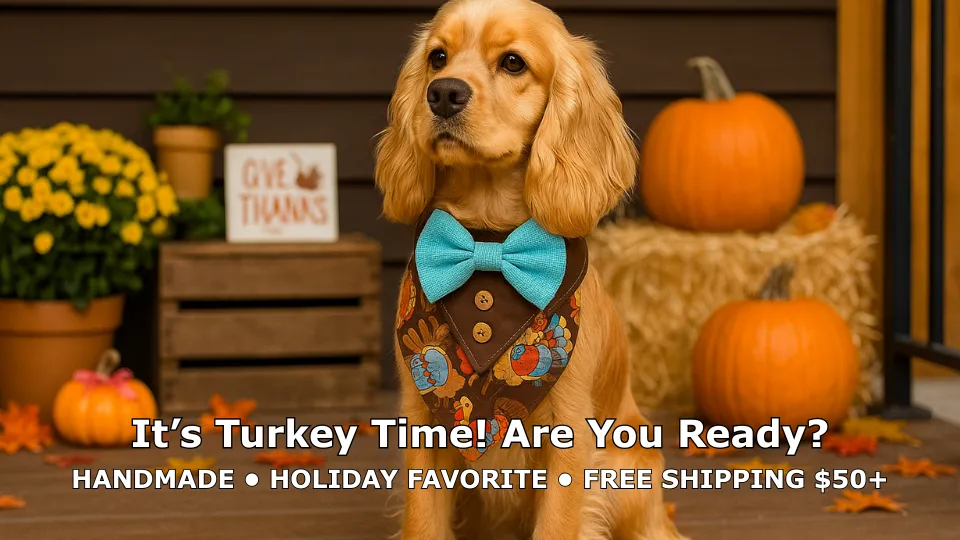 Dog in festive attire with autumn decorations.