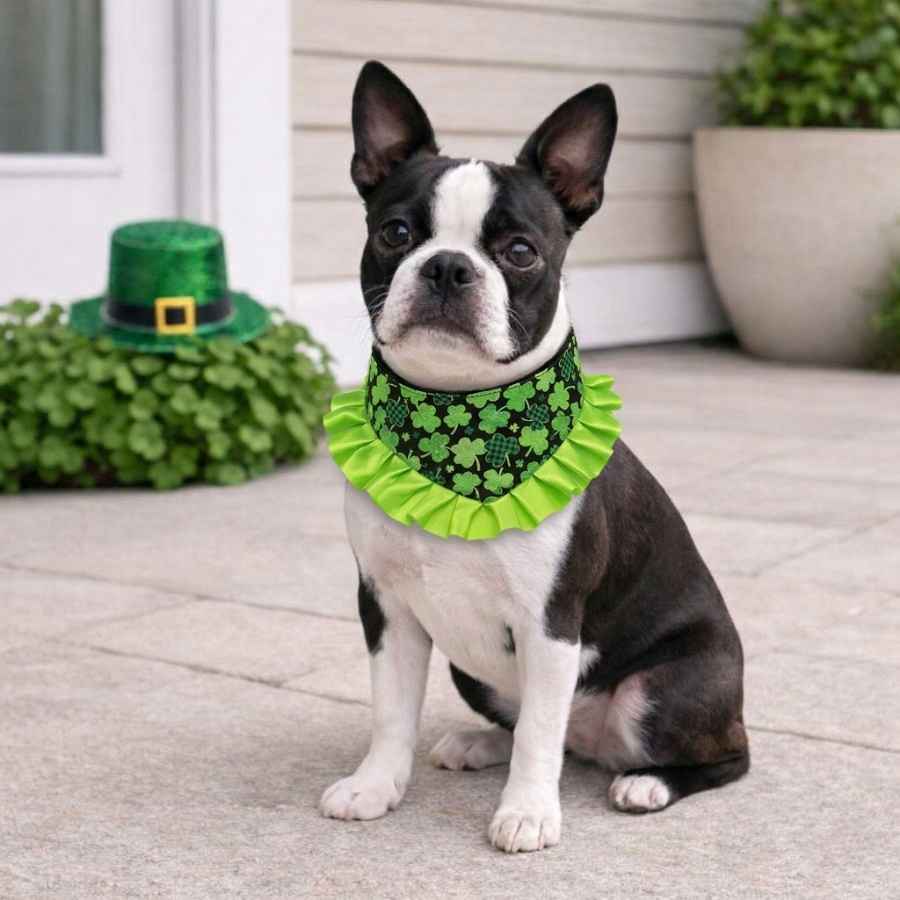Shamrock Charm Ruffled Velcro Bandana - Image 2