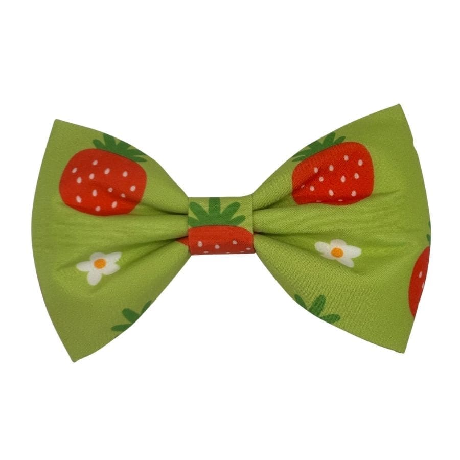 lime strawberry bowtie