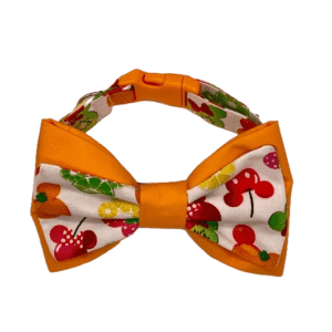 fruity mouse adjustable dog collar