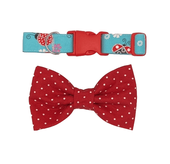 polka dot ladybug dog collar