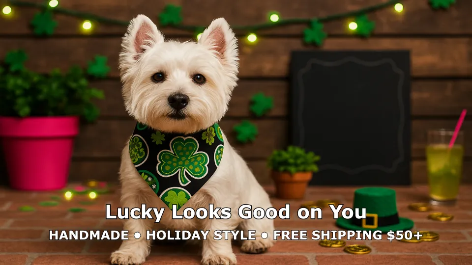 Dog in shamrock bandana surrounded by St. Patrick's decor