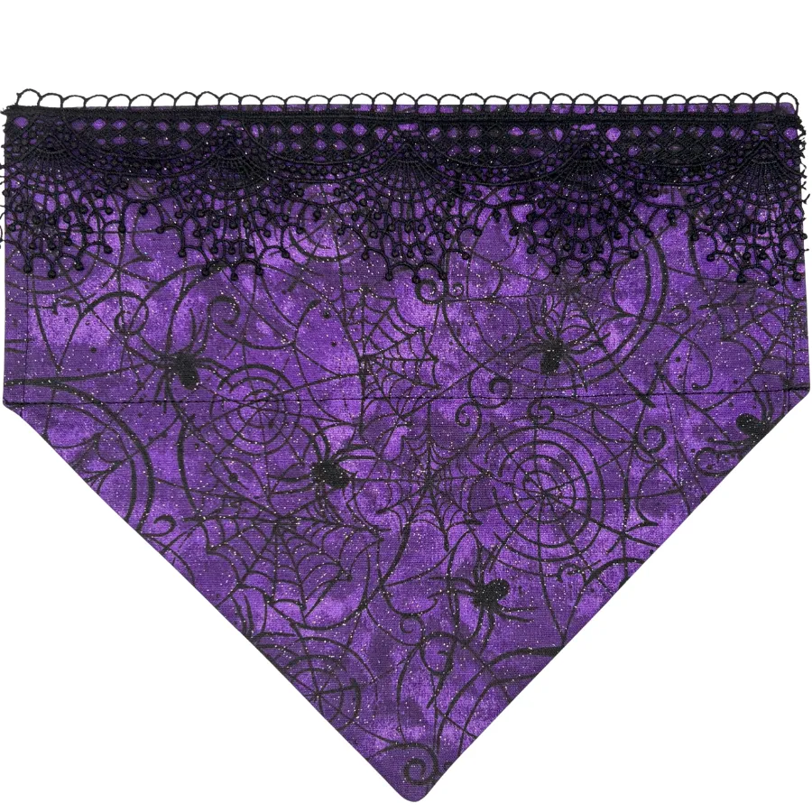 Wicked Web Over the Collar Bandana