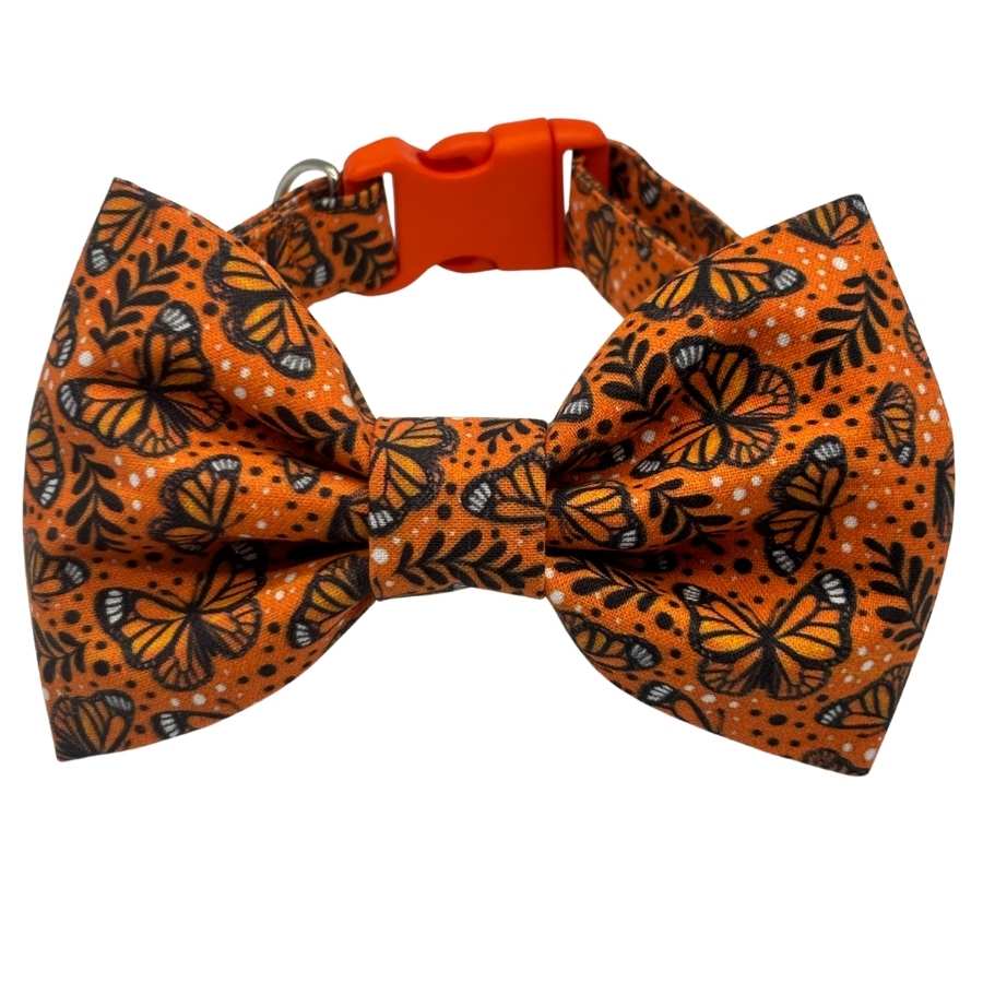 Monarch Flutter Bowtie Adjustable Orange Collar - Image 2
