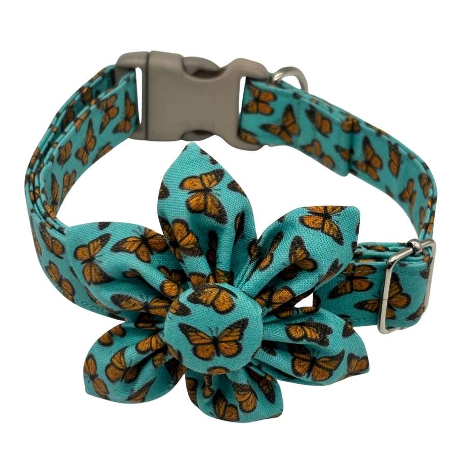 Monarch Flutter Flower Adjustable Teal Collar - Image 2