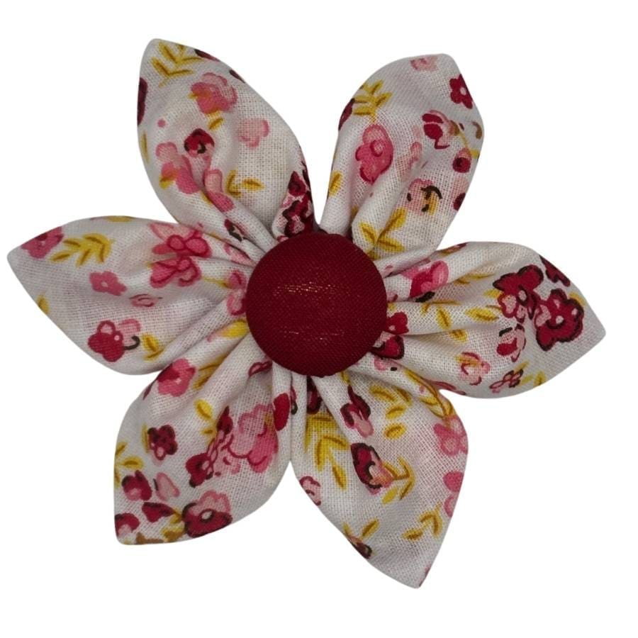 blooms c