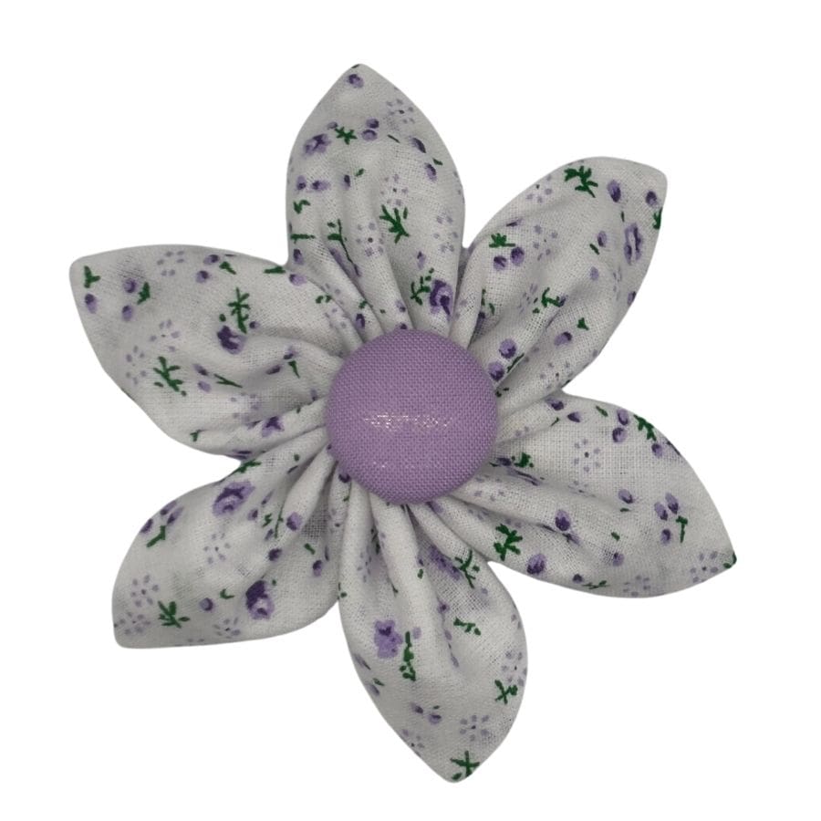 blooms k